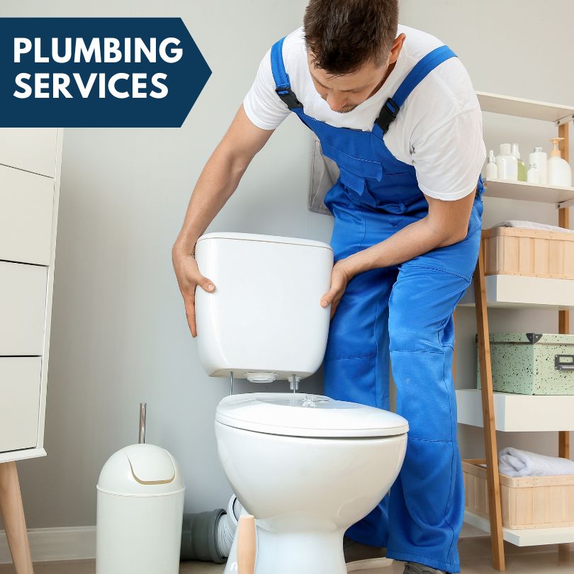 Plumbing Company in Lindenwood, IL